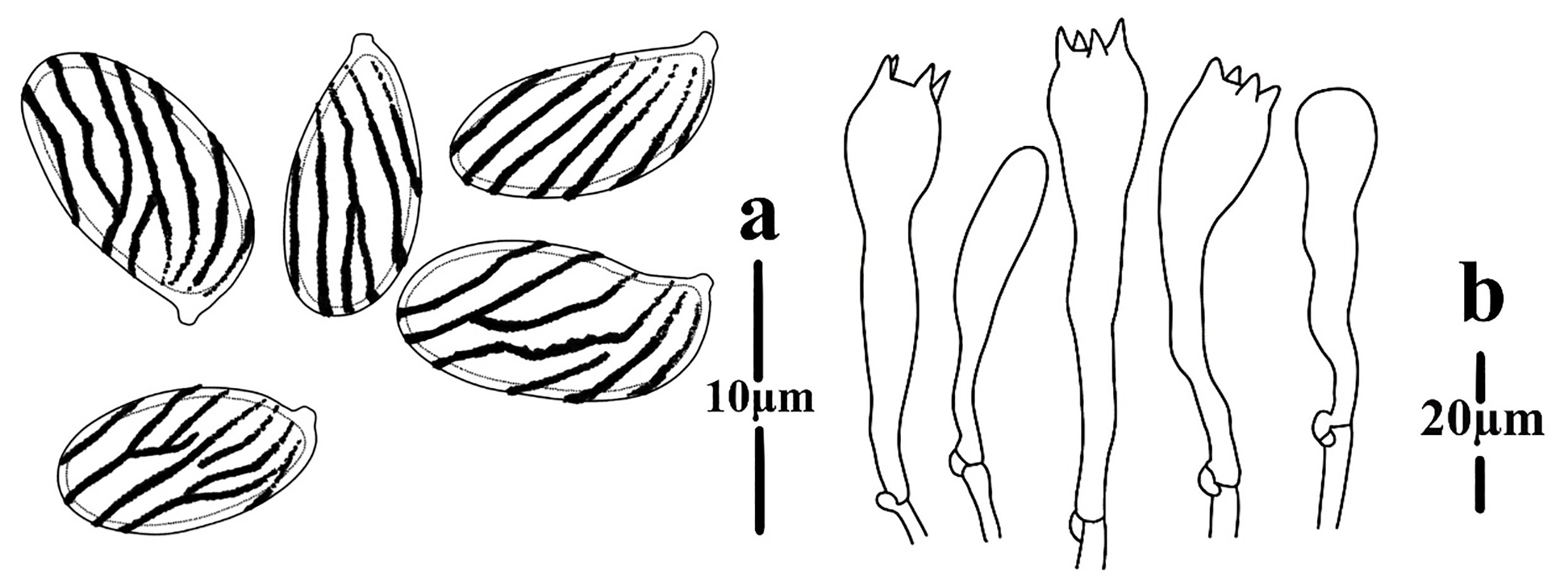 Figure 80